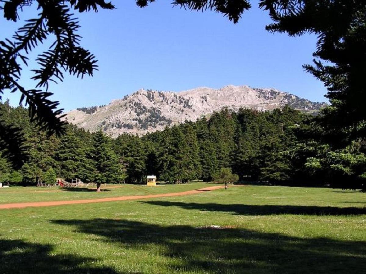Dianthos Guesthouse Κυριάκι Εξωτερικό φωτογραφία
